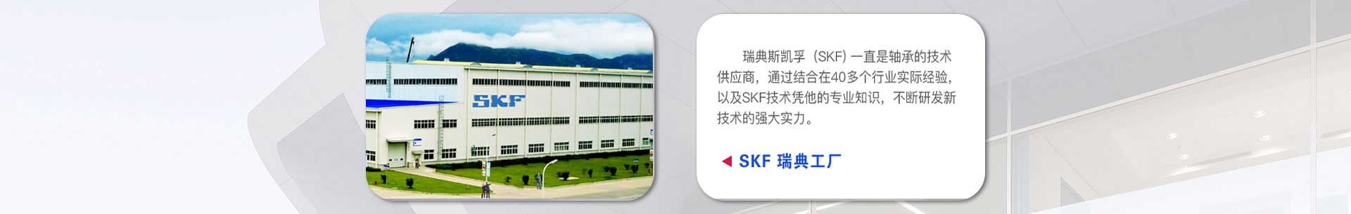 skf轴承在中国销售